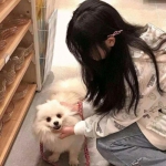 九剑封神传手游下载